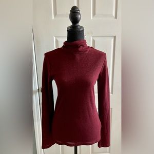 Express Fitted Shine Turtleneck Long Sleeve Top